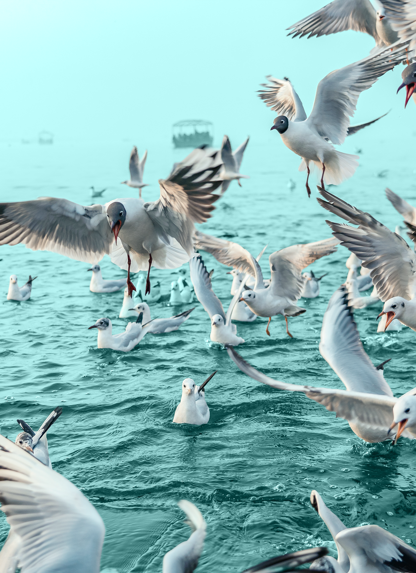 methodology-misaligned